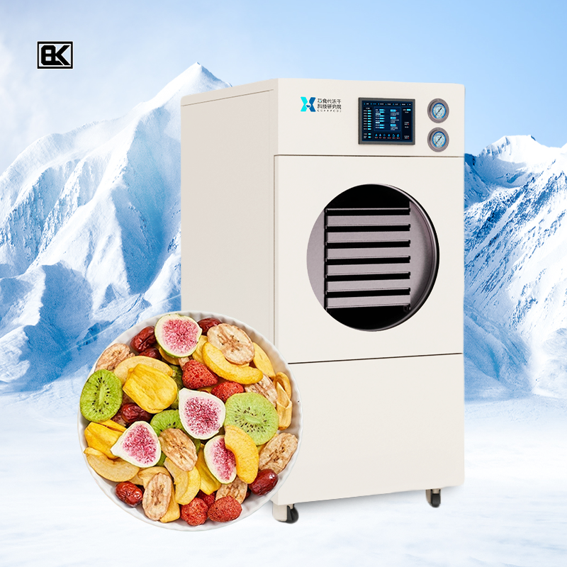 Small Shop SUS304 Trays Food Freeze Drying Machine